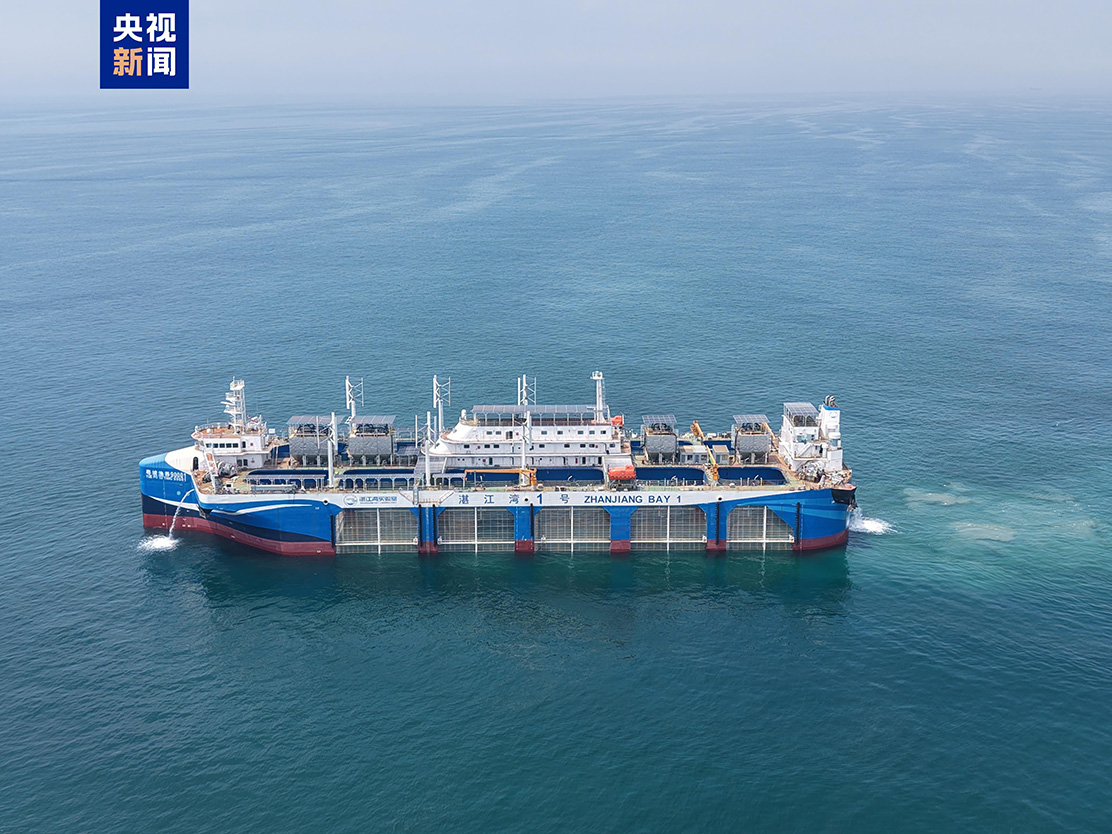湛江湾1号.jpg